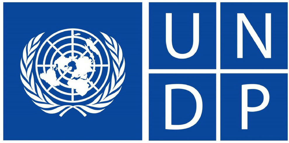 UNDP logo